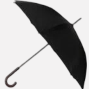 Travel Umbrella