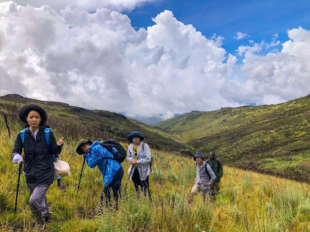 alt="Hiking Experts in Uganda. Experience hiking with Outdoorsy Uganda - Professional guides lead adventurous multi-day and single-day hikes through Uganda's stunning mountain landscapes with panoramic views, diverse wildlife, and authentic cultural encounters - Best-rated Uganda hiking tour operators since 2022"